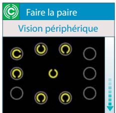 NINTENDO DS FLASH_FOCUS - Introduction à l'entrajinement de FOND - 4