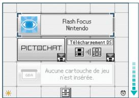 NINTENDO DS FLASH_FOCUS - Attention-sante et securite - 1