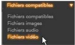 PINNACLE STUDIO ULTIMATE - Personnaliser le navigateur - 1
