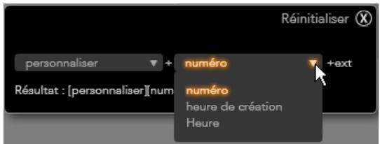 PINNACLE STUDIO ULTIMATE - Le panneau du nom de fichier - 4