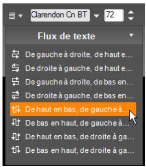 PINNACLE STUDIO ULTIMATE - Flux de texte - 1