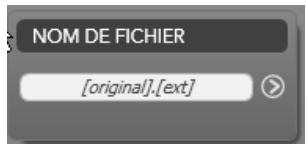 PINNACLE STUDIO ULTIMATE - Le panneau du nom de fichier - 2