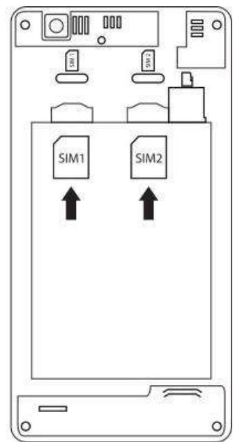 ECHO MOSS - Insertion des cartes SIM - 3