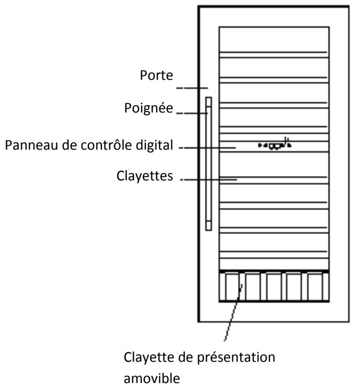 AVINTAGE AV54 SXDZ,  AV54SXDZ - Modèle 88 cm 2 ZONES - 2