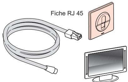LEGRAND 329 70 - ■ VOTRE BRANCHEMENT AU NIVEAU DE LA PRISE TERMINALE A L'AIDE DES CORDONS FOURNIS - 1