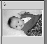 MINOLTA DIMAGE SCAN - Sélection d'images de l'index - 7