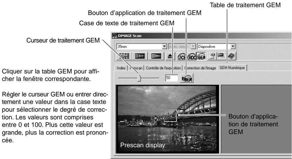MINOLTA DIMAGE SCAN - Traitement numérique GEM - gestion et égalisation du grain - 3