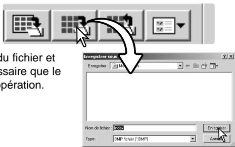 MINOLTA DIMAGE SCAN - Enregistrement d'un fichier-index - 1