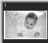 MINOLTA DIMAGE SCAN - Sélection d'images de l'index - 2