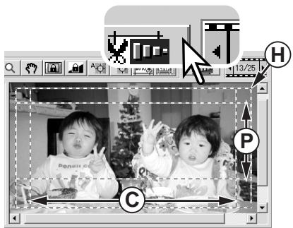 MINOLTA DIMAGE SCAN - Bouton CHP (films APS quintement) - 1