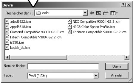 MINOLTA DIMAGE SCAN - Réglage de profil d'écran ICC - 2