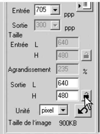 MINOLTA DIMAGE SCAN - Exemples de réglages de numérisation - 1