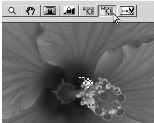 MINOLTA DIMAGE SCAN - Mise au point manuelle - 1