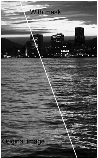 MINOLTA DIMAGE SCAN - Filtre de netteté (USM) - 3
