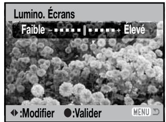 MINOLTA DIMAGE Z6 - Luminosité de l'écran ACL - 5