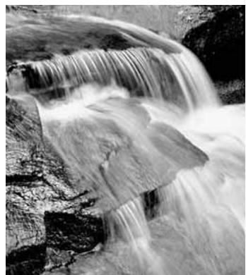 MINOLTA DIMAGE Z6 - Petit guide d'introduction à la photographie - 3
