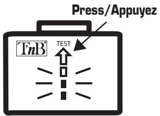 TNB BACKUP BATTERY - 1
