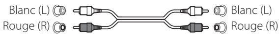 TEAC CDP800NT - Branchements - 2