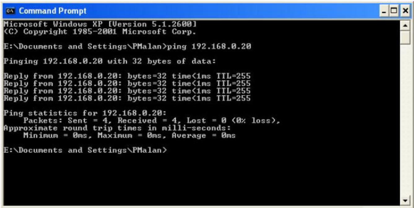 CITIZEN DCS-2121 - Envoi d'une requête ping à votre adresse IP - 1