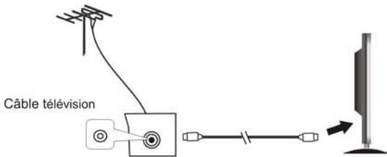 NESX NE-19C - Raccordement de l'antenne - 1