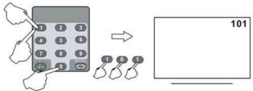 NESX NE-19C - Sélection des chaînes par numéro - 3