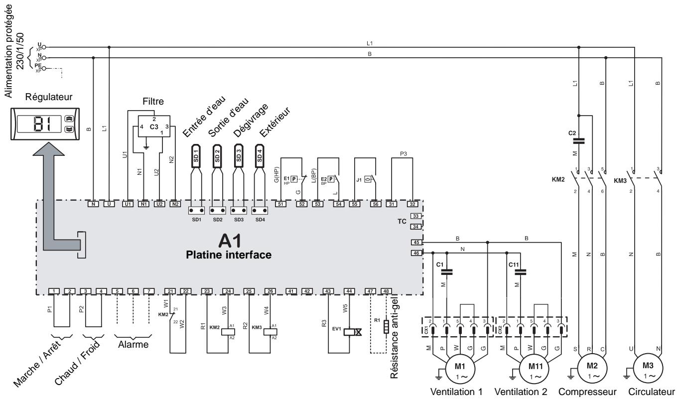 TECHNIBEL PHR 11 - SCHEMA Électrique - PHR 6 / 8 - 230/1/50 - 2