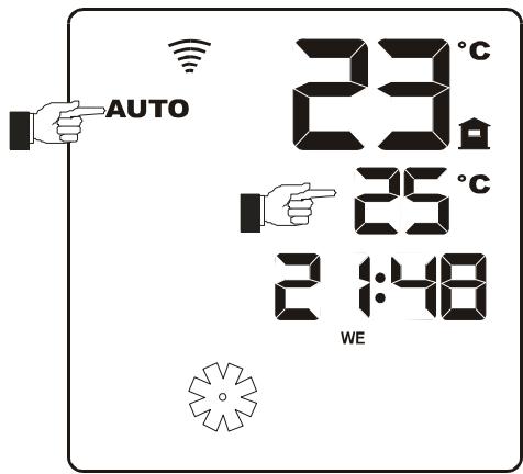 MCZ GEA - Mode automatique - 4