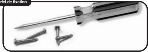 COBRA CPI850C - Pour monter le convertisseur : - 2