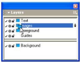 MACROMEDIA FREEHAND MX-UTILISATION DE FREEHAND - Fusion des calques - 1