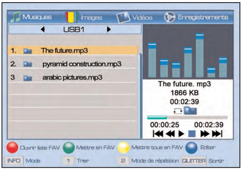 SERVIMAT TNT65HDU - Lecteur multimedia (mode musiques) - 1