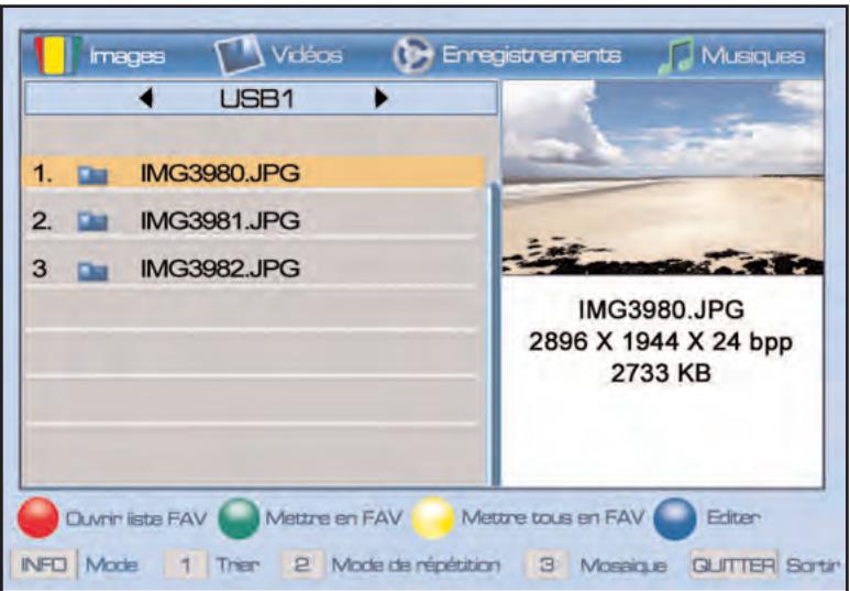 SERVIMAT TNT65HDU - Lecteur multimedia (mode image) - 1