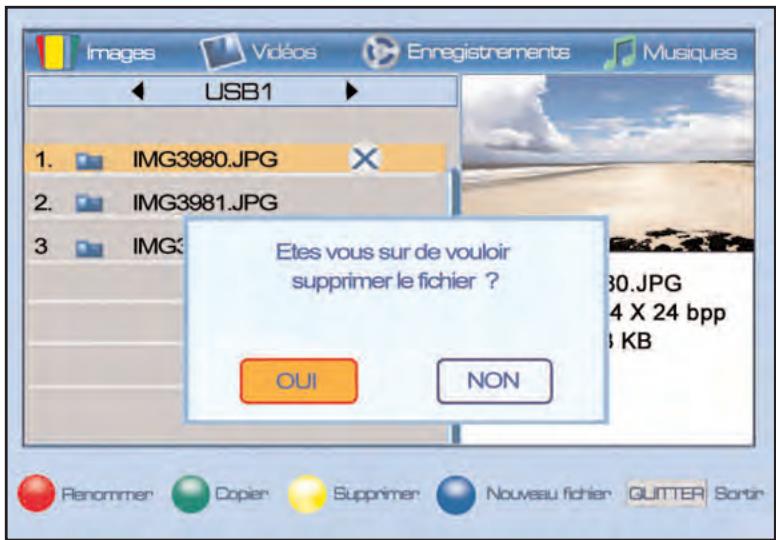 SERVIMAT TNT65HDU - Lecteur multimedia (mode image, éditer, supprimer une image) - 1