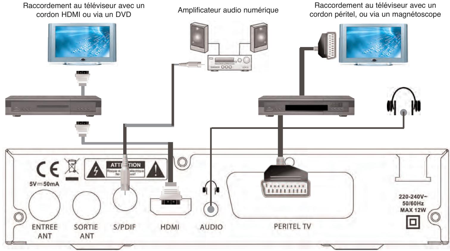 SERVIMAT TNT65HDU - Raccordements audio-video : - 1