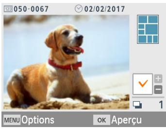 CANON SELPHY CP1300 - Impression des images sur une carte mémoire - 4