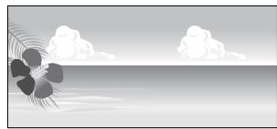 EPSON SC-P600 - Tailles de papier définies par l'utilisateur/personnalisées - 2