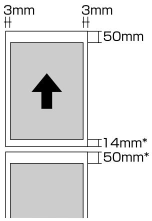 EPSON SC-P600 - Zone imprimée du papier rouleau - 1