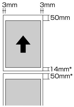 EPSON P600 - Zone imprimée du papier rouleau - 1