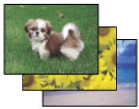 EPSON WORKFORCE WF-7015 - Impression de photos avec easy photo print - 1