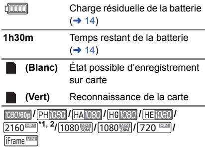 PANASONIC HC-VX870 - Indicateurs d'enregistrement - 4