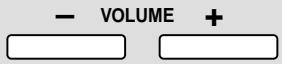 PANASONIC SA-HE70 - Adjust the main volume. - 1