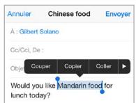 APPLE IPHONE 6 - Modifier du texte - 2