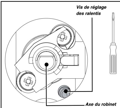Vis de réglage des ralentis Axe du robinet