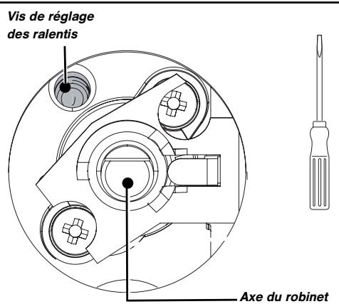 Vis de réglage des ralentis Axe du robinet