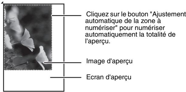 SHARP 6020 - Bouton "ajustement automatique de la zone à numériser - 1
