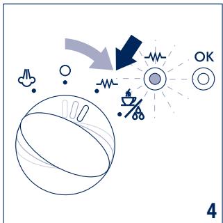 DELONGHI EC 221.B - Disposal - 6