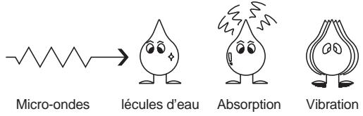 DAEWOO KOR6C27 - Comment les micro-ondes cuisent-elles les aliments - 2