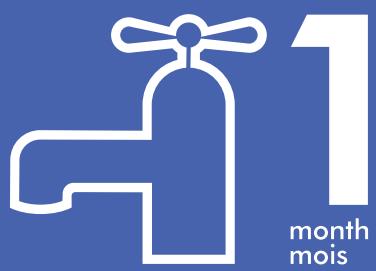 DYSON V8 ABSOLUTE - Important! - 1
