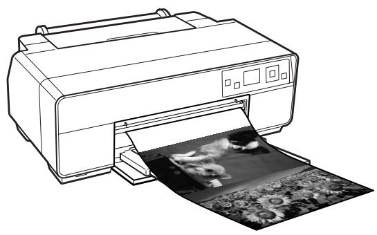 EPSON R3000 - Impression de bannières (sur papier rouleau) - 1