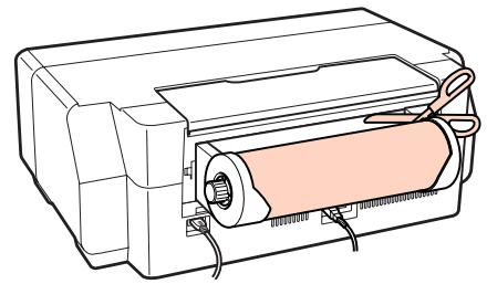 EPSON R3000 - Bourrage de papier rouleau - 1