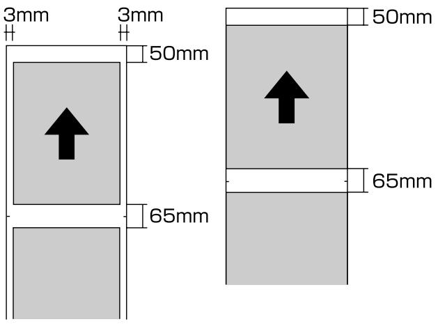 EPSON R3000 - Zone imprimée du papier rouleau - 1